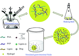 Graphical abstract: Ultrasonic-assisted synthesis of sodium lignosulfonate-grafted poly(acrylic acid-co-poly(vinyl pyrrolidone)) hydrogel for drug delivery