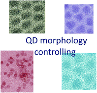 Graphical abstract: Hydrophobic CdSe and CdTe quantum dots: shell coating, shape control, and self-assembly