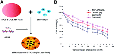 Graphical abstract: Delivery of siRNA targeting HIF-1α loaded chitosan modified d-α-tocopheryl polyethylene glycol 1000 succinate-b-poly(ε-caprolactone-ran-glycolide) nanoparticles into nasopharyngeal carcinoma cell to improve the therapeutic efficacy of cisplatin