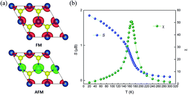 Graphical abstract: The static and dynamic magnetic properties of monolayer iron dioxide and iron dichalcogenides