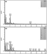 Graphical abstract: Optimizing the biosorption of Bi3+ ions by Streptomyces rimosus using experimental design and applicability in kinetics and isotherm modeling