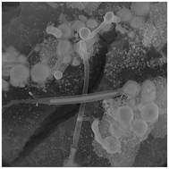 Graphical abstract: Decorated CNT based on porous silicon for hydrogen gas sensing at room temperature