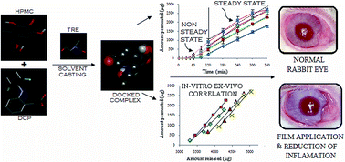 Graphical abstract: Analysis of steady state and non-steady state corneal permeation of diclofenac