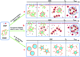 Graphical abstract: Investigation of modified sodium alginate-Alkyl glycoside interactions in aqueous solutions and at the oil–water interface