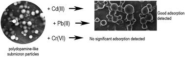 Graphical abstract: Biocompatible polydopamine-like particles for the removal of heavy metals at extremely low concentrations