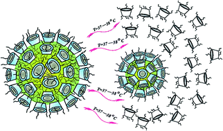 Graphical abstract: Metal-free thermally-responsive pseudohybrid nanoparticles based on 2-hydroxypropyl-β-cyclodextrin