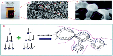 Graphical abstract: A tough self-assembled natural oligomer hydrogel based on nano-size vesicle cohesion