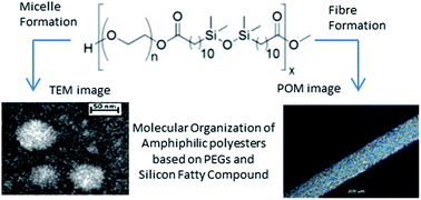 Graphical abstract: Soft amphiphilic polyesters obtained from PEGs and silicon fatty compounds: structural characterizations and self-assembly studies