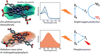 Graphical abstract: Phosphorescent oxygen-sensing and singlet oxygen production by a biosynthetic silk