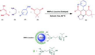 Graphical abstract: l-Leucine supported on superparamagnetic silica-encapsulated γ-Fe2O3 nanoparticles: design, characterization, and application as a green catalyst for highly efficient synthesis of thiazoloquinolines
