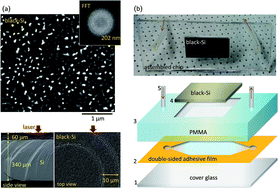 Graphical abstract: A bactericidal microfluidic device constructed using nano-textured black silicon
