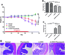 Graphical abstract: Fungal–bacterial interactions in mice with dextran sulfate sodium (DSS)-induced acute and chronic colitis