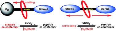 Graphical abstract: Diamide-based fullerosteroidal and disteroidal [2]rotaxanes: solvent-induced macrocycle translocation and/or unthreading