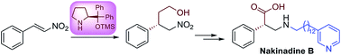 Graphical abstract: Enantioselective total synthesis of (S)-nakinadine B