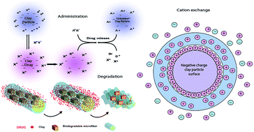 Graphical abstract: Clay nanocomposites as engineered drug delivery systems
