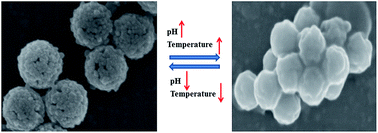 Graphical abstract: A facile strategy to fabricate covalently linked raspberry-like nanocomposites with pH and thermo tunable structures