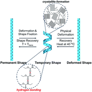 Graphical abstract: Organic–inorganic shape memory thermoplastic polyurethane based on polycaprolactone and polydimethylsiloxane