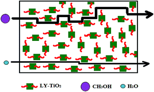 Graphical abstract: Bio-functionalized hybrid nanocomposite membranes for direct methanol fuel cells