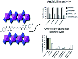 Graphical abstract: Carboxymethylcellulose films containing chlorhexidine–zirconium phosphate nanoparticles: antibiofilm activity and cytotoxicity