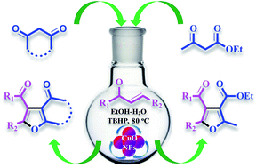 Graphical abstract: Direct CuO nanoparticle-catalyzed synthesis of poly-substituted furans via oxidative C–H/C–H functionalization in aqueous medium