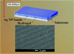 Graphical abstract: Understanding the formation of aligned, linear arrays of Ag nanoparticles