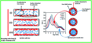 Graphical abstract: Interface and core relaxation dynamics of IL molecules in nanopores of ordered mesoporous MCM-41: a dielectric spectroscopy study