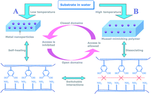 Graphical abstract: Switchable polymer reactor composed of mussel-inspired polymer that contains Au nanoparticles