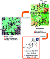 Graphical abstract: Synthesis of hupehenols A, B, and E from protopanaxadiol