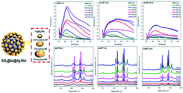 Graphical abstract: Size effect of gold on Ag-coated Au nanoparticle-embedded silica nanospheres