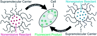 Graphical abstract: Synthesis in living cells with the assistance of supramolecular nanocarriers