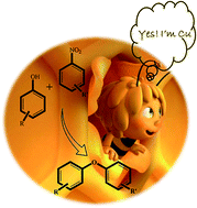 Graphical abstract: Heterogeneous O-arylation of nitroarenes with substituted phenols over a copper immobilized mesoporous silica catalyst