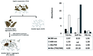 Graphical abstract: Ferricyanide-based analysis of aqueous lignin suspension revealed sequestration of water-soluble lignin moieties