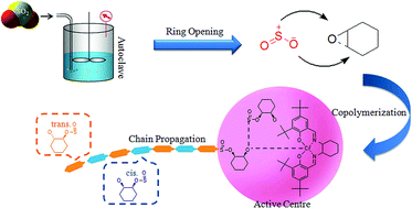 Graphical abstract: Efficient alternating copolymerization of sulfur dioxide with cyclohexene oxide and a mechanistic understanding