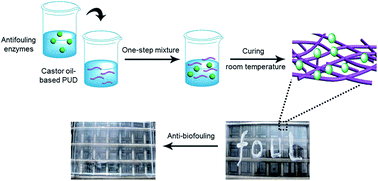 Graphical abstract: Enzymatic waterborne polyurethane towards a robust and environmentally friendly anti-biofouling coating