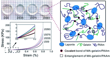 Graphical abstract: Novel hemocompatible nanocomposite hydrogels crosslinked with methacrylated gelatin