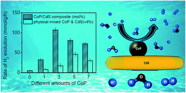 Graphical abstract: Promoting visible light-driven hydrogen evolution over CdS nanorods using earth-abundant CoP as a cocatalyst