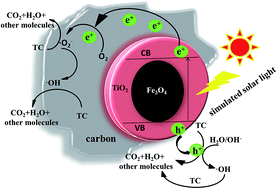 Graphical abstract: Synthesis of stable core–shell structured TiO2@Fe3O4 based on carbon derived from yeast with an enhanced photocatalytic ability