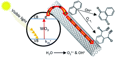 Graphical abstract: Preparation and photocatalytic activity of WO3–MWCNT nanocomposite for degradation of naphthalene under visible light irradiation