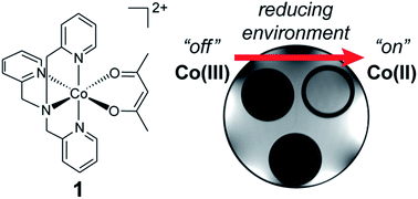 Graphical abstract: Reversible magnetogenic cobalt complexes