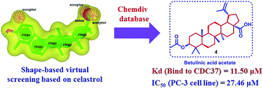 Graphical abstract: Betulinic acid acetate, an antiproliferative natural product, suppresses client proteins of heat shock protein pathways through a CDC37-binding mechanism