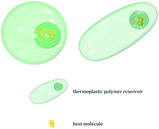 Graphical abstract: Easy-to-fill asymmetric polymeric micro-reservoirs