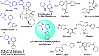 Graphical abstract: In(OTf)3 catalysed an expeditious synthesis of β-carboline–imidazo[1,2-a]pyridine and imidazo[1,2-a]pyrazine conjugates