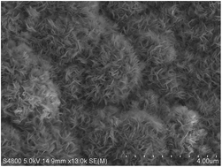 Graphical abstract: A facile one-pot hydrothermal synthesis of Co9S8/Ni3S2 nanoflakes for supercapacitor application