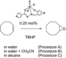 Graphical abstract: Dioxotungsten(vi) complexes with isoniazid-related hydrazones as (pre)catalysts for olefin epoxidation: solvent and ligand substituent effects