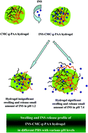 Graphical abstract: Fabrication and evaluation of a novel polymeric hydrogel of carboxymethyl chitosan-g-polyacrylic acid (CMC-g-PAA) for oral insulin delivery