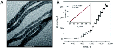 Graphical abstract: PdPt bimetallic alloy nanowires-based electrochemical sensor for sensitive detection of ascorbic acid