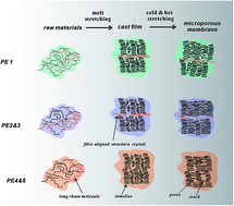 Graphical abstract: Influence of material characteristics on the structure and properties of high-density polyethylene microporous membranes