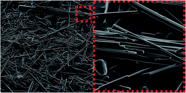 Graphical abstract: Self-assembled fibrillar networks comprised of a naturally-occurring cyclic peptide—LOB3