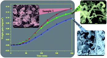 Graphical abstract: Impaction of precursor gas-induced catalyst change on morphology, growth kinetics and field emission property of carbon nanofibers