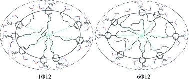 Graphical abstract: Molecular dynamics study on the aggregation behaviour of different positional isomers of sodium dodecyl benzenesulphonate